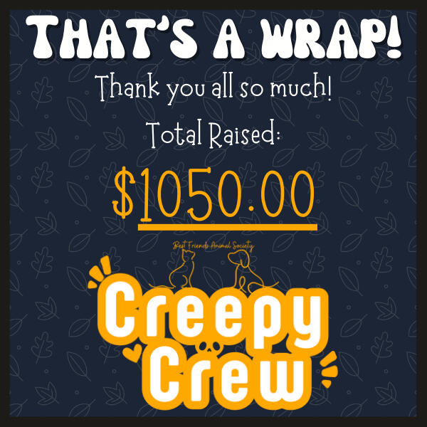 Best Friends x LA Wildfires (January 25')